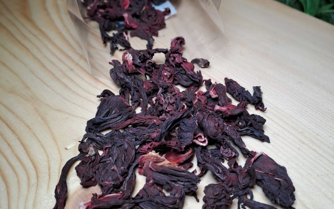 L’hibiscus théus druidus astuce