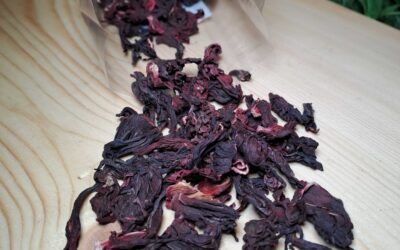 L’Hibiscus