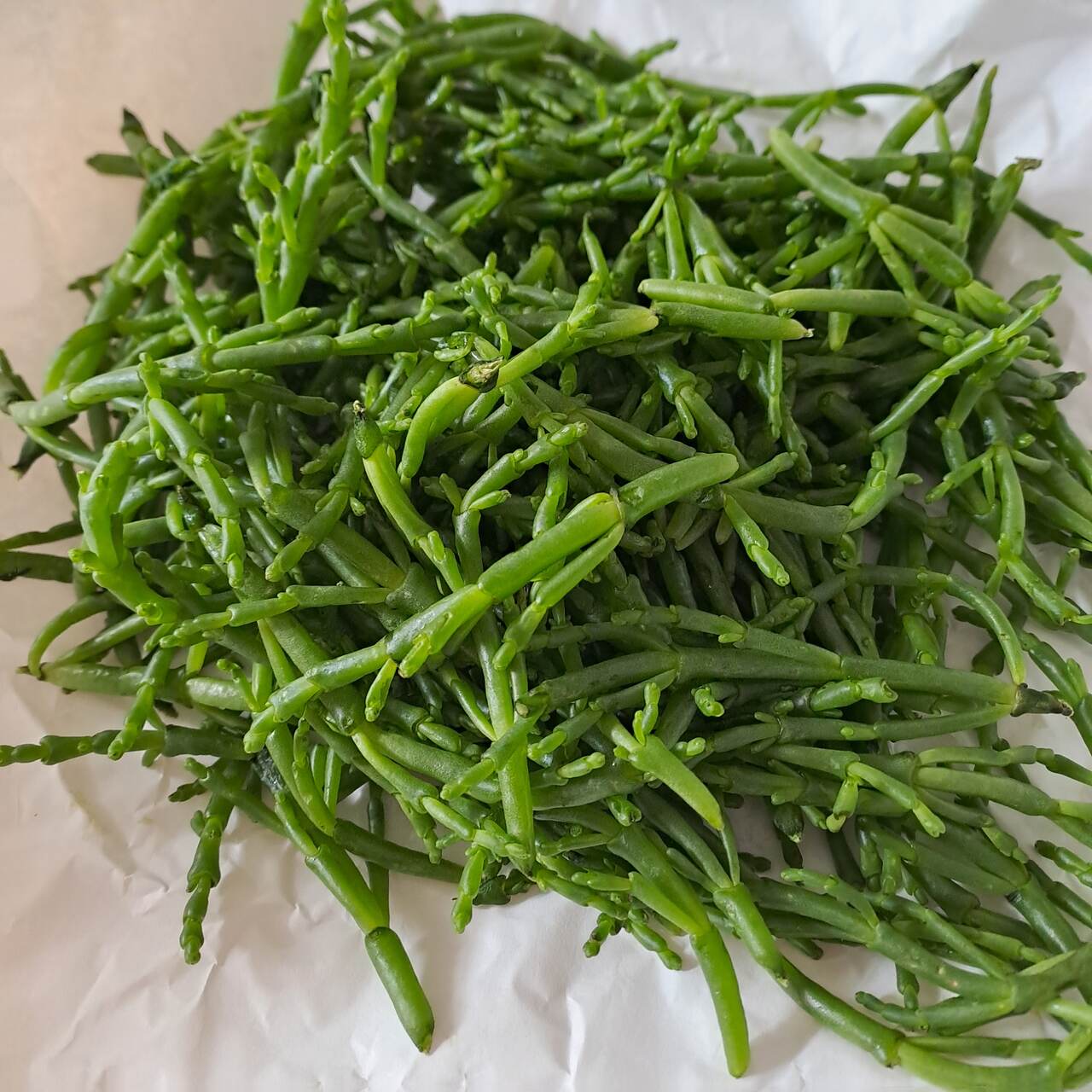 Les Salicornes Le Druide Cuisine