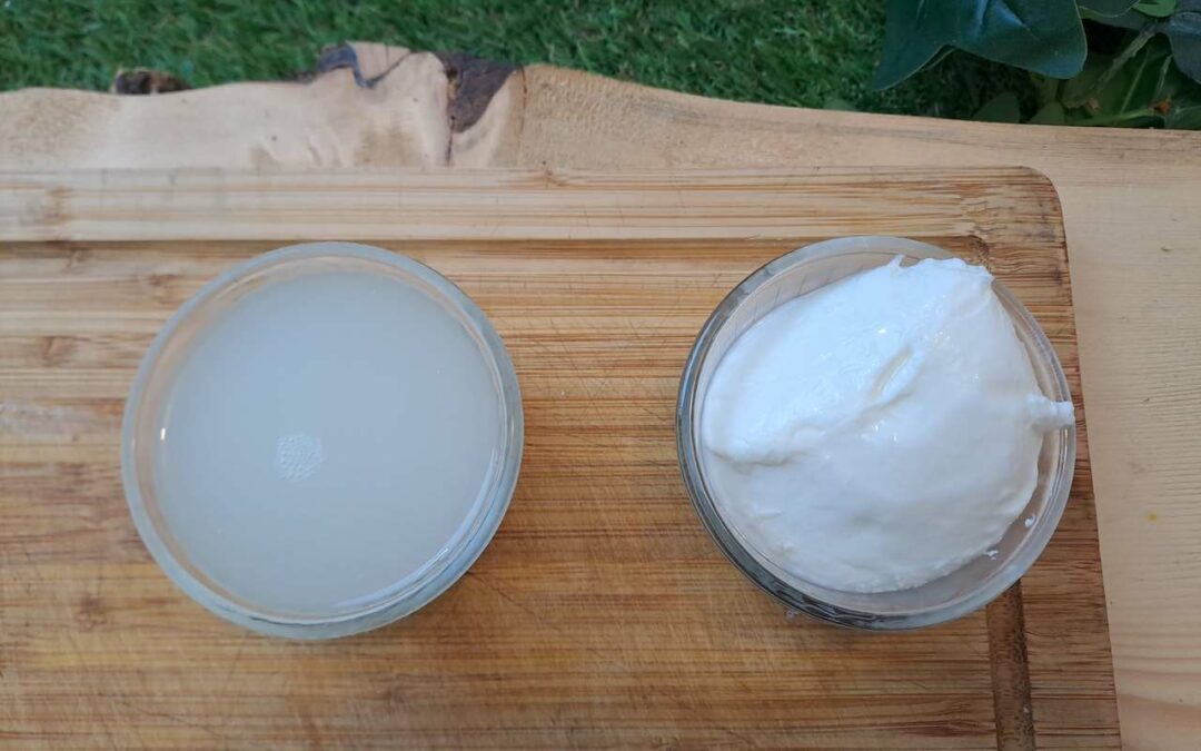 Petit lait de la Mozzarella