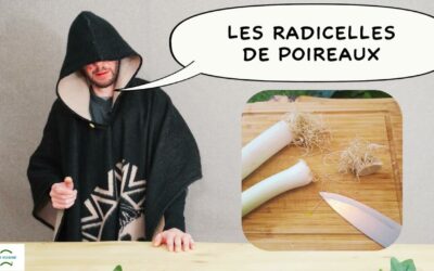 Les radicelles de poireaux